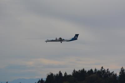 Photo of aircraft N422QX operated by Horizon Air