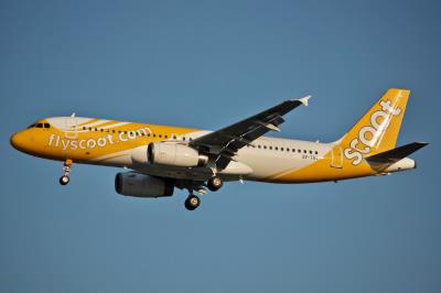 Photo of aircraft 9V-TRV operated by Scoot
