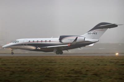 Photo of aircraft OO-PKX operated by ASL - Air Service Liege