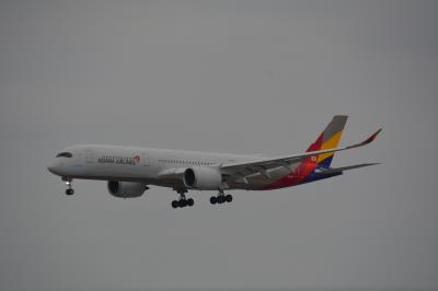 Photo of aircraft HL8361 operated by Asiana Airlines