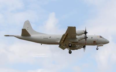 Photo of aircraft 60+04 operated by German Navy (Marineflieger)