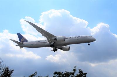Photo of aircraft N29968 operated by United Airlines
