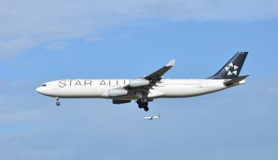 Image of aircraft registration D-AIFE - A A340-313 operated by Lufthansa