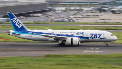 Photo of aircraft JA817A operated by All Nippon Airways