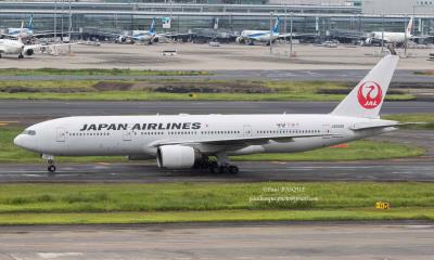 Photo of aircraft JA009D operated by Japan Airlines
