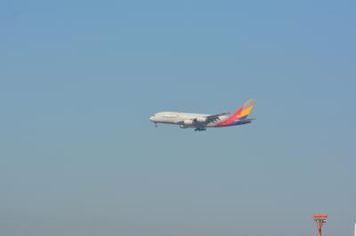 Image of aircraft registration HL7625 - A A380-841 operated by Asiana Airlines