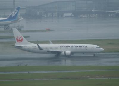 Photo of aircraft JA335J operated by Japan Airlines