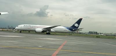Image of aircraft registration N128AM - A 787-9 Dreamliner operated by Aeromexico