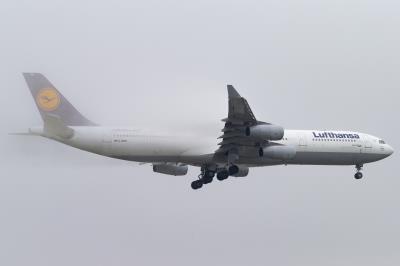 Image of aircraft registration D-AIFD - A A340-313 operated by Lufthansa
