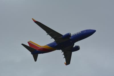 Image of aircraft registration N776WN - A 737-7H4(WL) operated by Southwest Airlines