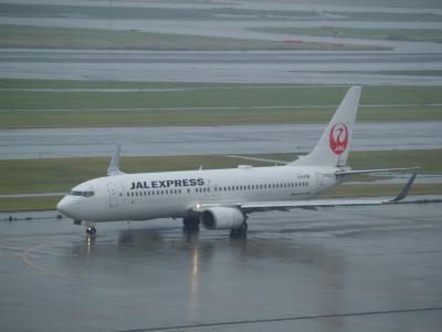 Photo of aircraft JA333J operated by Japan Airlines