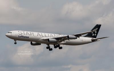 Image of aircraft registration D-AIGN - A A340-313 operated by Lufthansa
