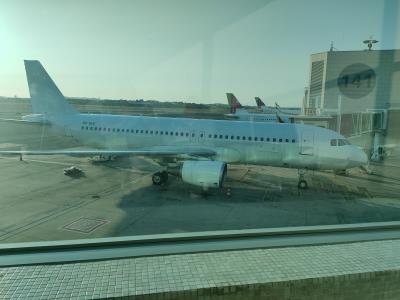 Photo of aircraft 9H-SLE operated by SmartLynx Malta