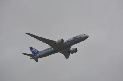 Photo of aircraft JA808A operated by All Nippon Airways