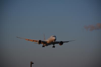Image of aircraft registration C-GHPU - A 787-8 Dreamliner operated by Air Canada