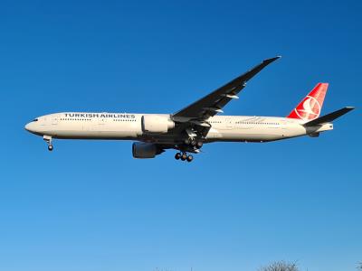 Photo of aircraft TC-LJB operated by Turkish Airlines