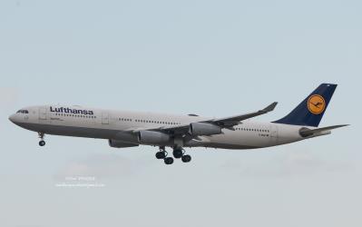 Image of aircraft registration D-AIGZ - A A340-313 operated by Lufthansa