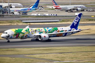 Photo of aircraft JA894A operated by ANA All Nippon Airways