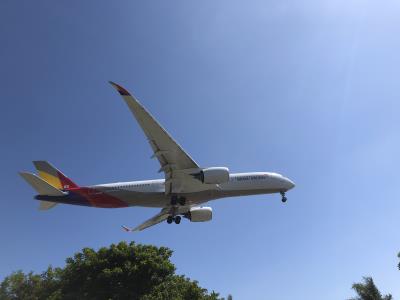 Photo of aircraft HL8359 operated by Asiana Airlines