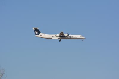 Photo of aircraft N442QX operated by Horizon Air
