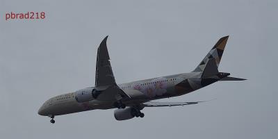 Image of aircraft registration A6-BLK - A 787-9 Dreamliner operated by Etihad Airways
