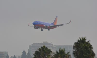 Photo of aircraft N237WN operated by Southwest Airlines