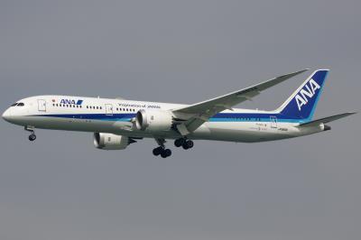 Photo of aircraft JA883A operated by All Nippon Airways