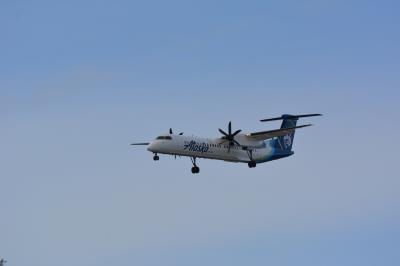 Image of aircraft registration N447QX - A DHC-8-402NG operated by Horizon Air