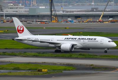 Photo of aircraft JA836J operated by Japan Airlines