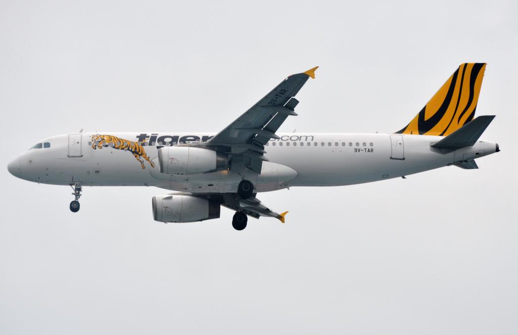 Photo of aircraft 9V-TAR operated by Tigerair