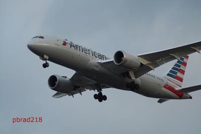 Image of aircraft registration N819AN - A 787-8 Dreamliner operated by American Airlines
