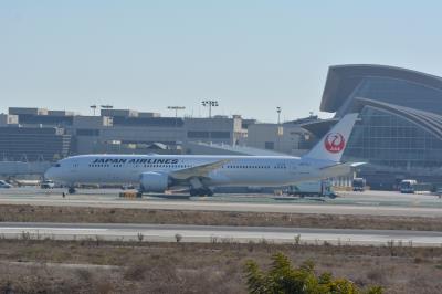 Photo of aircraft JA875J operated by Japan Airlines
