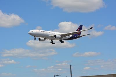 Image of aircraft registration OO-SFZ - A A330-223 operated by Brussels Airlines