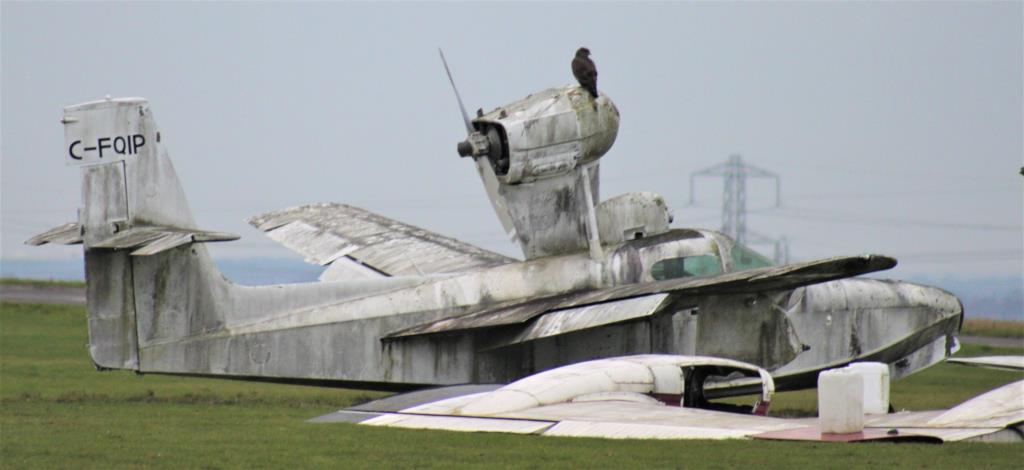 Photo of aircraft C-FQIP operated by Philip Molloy