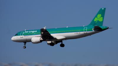 Photo of aircraft EI-DEM operated by Aer Lingus