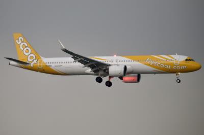 Photo of aircraft 9V-NCE operated by Scoot