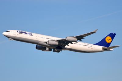 Image of aircraft registration D-AIFD - A A340-313 operated by Lufthansa
