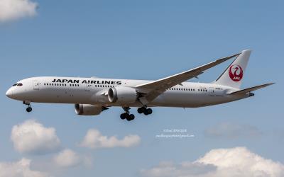 Image of aircraft registration JA881J - A 787-9 Dreamliner operated by Japan Airlines