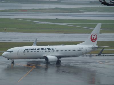 Photo of aircraft JA325J operated by Japan Airlines