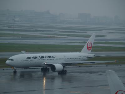 Photo of aircraft JA007D operated by Japan Airlines