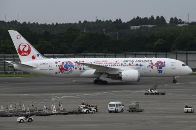 Photo of aircraft JA823J operated by Japan Airlines