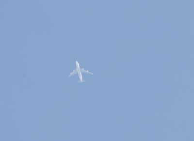 Photo of aircraft LX-JCV operated by Cargolux Airlines International