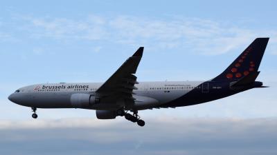 Image of aircraft registration OO-SFY - A A330-223 operated by Brussels Airlines
