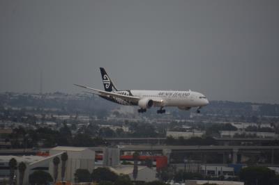 Photo of aircraft ZK-NZF operated by Air New Zealand