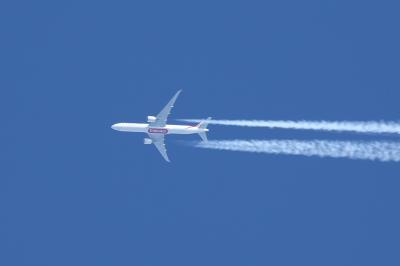 Photo of aircraft A6-EGT operated by Emirates