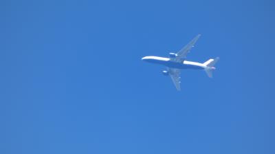 Photo of aircraft G-VIIO operated by British Airways