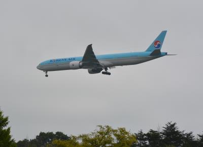 Photo of aircraft HL8008 operated by Korean Air Lines