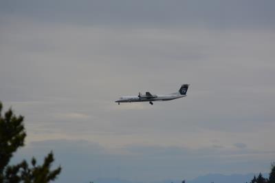 Photo of aircraft N405QX operated by Horizon Air