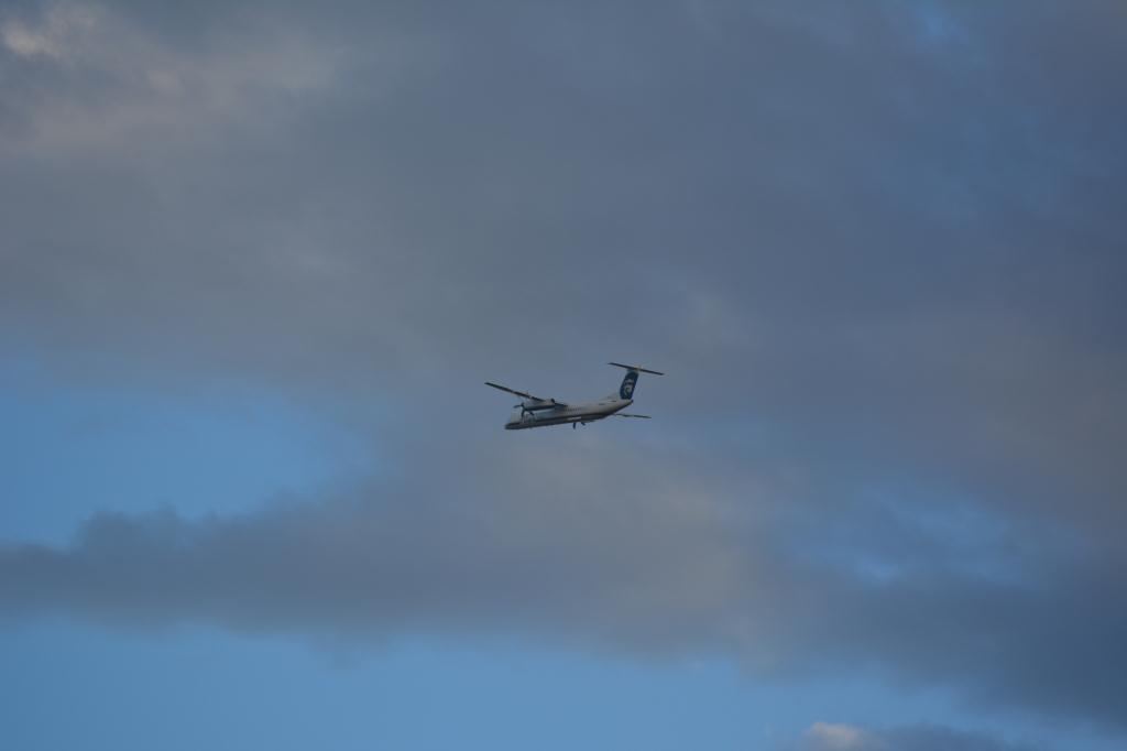Photo of aircraft N439QX operated by Horizon Air