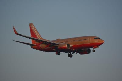 Image of aircraft registration N714CB - A 737-7H4(WL) operated by Southwest Airlines